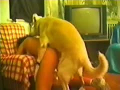 Wonderful beastiality sex compilation featuring amateurs getting screwed by dog's